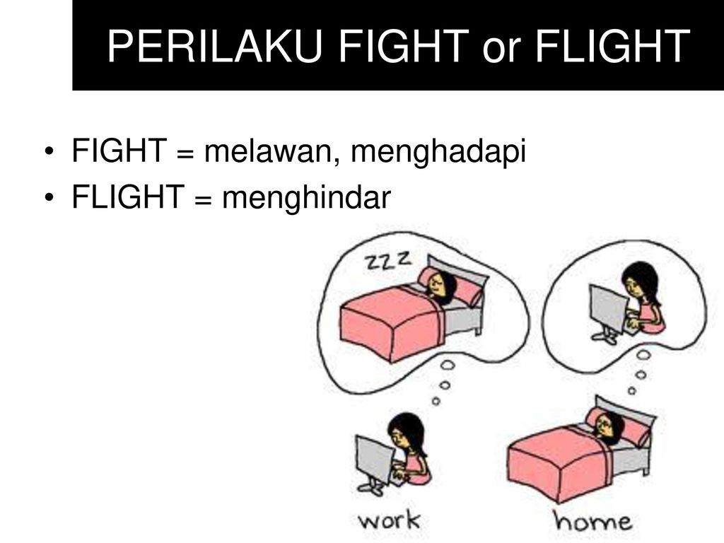 PERILAKU FIGHT or FLIGHT