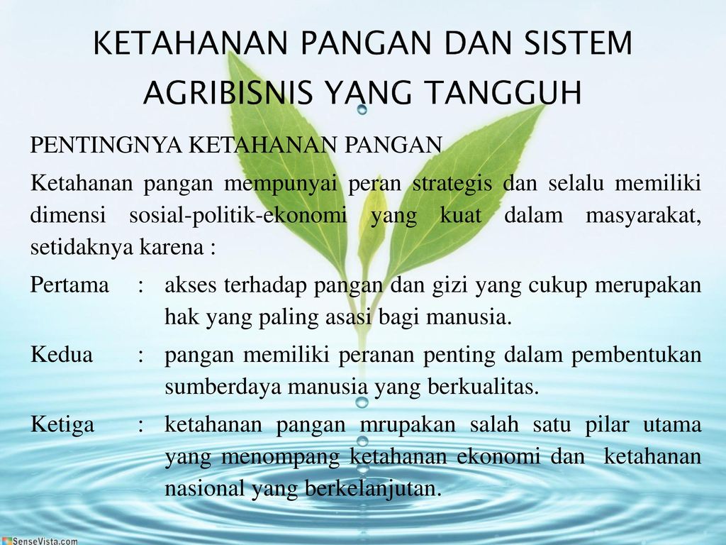 KETAHANAN PANGAN DAN SISTEM AGRIBISNIS YANG TANGGUH - Ppt Download