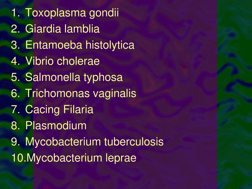 Trichomonas és Toxoplasma