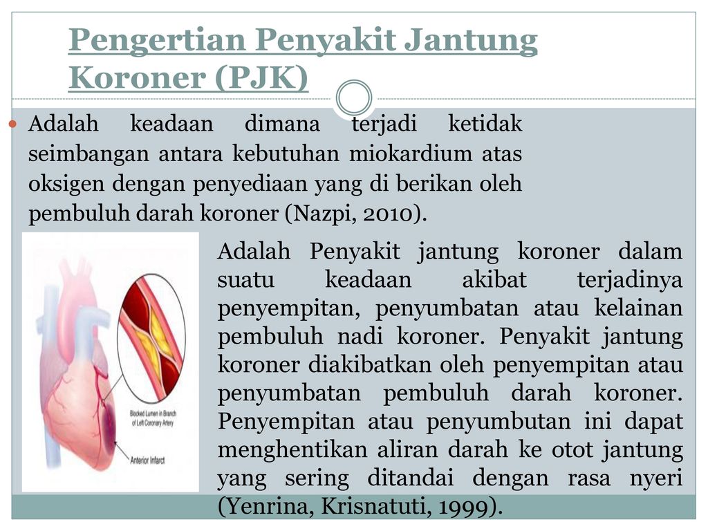 Ppt Jantung Dan Pembuluh Darah – Sinau