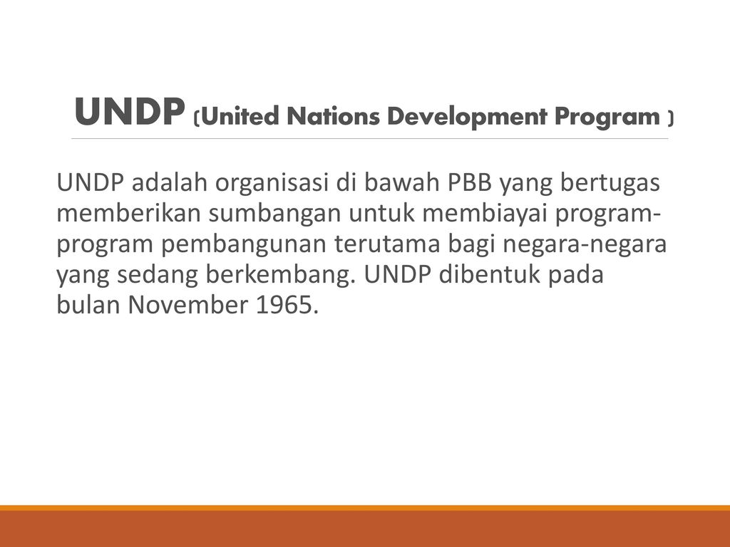 UNDP (United Nations Development Program )