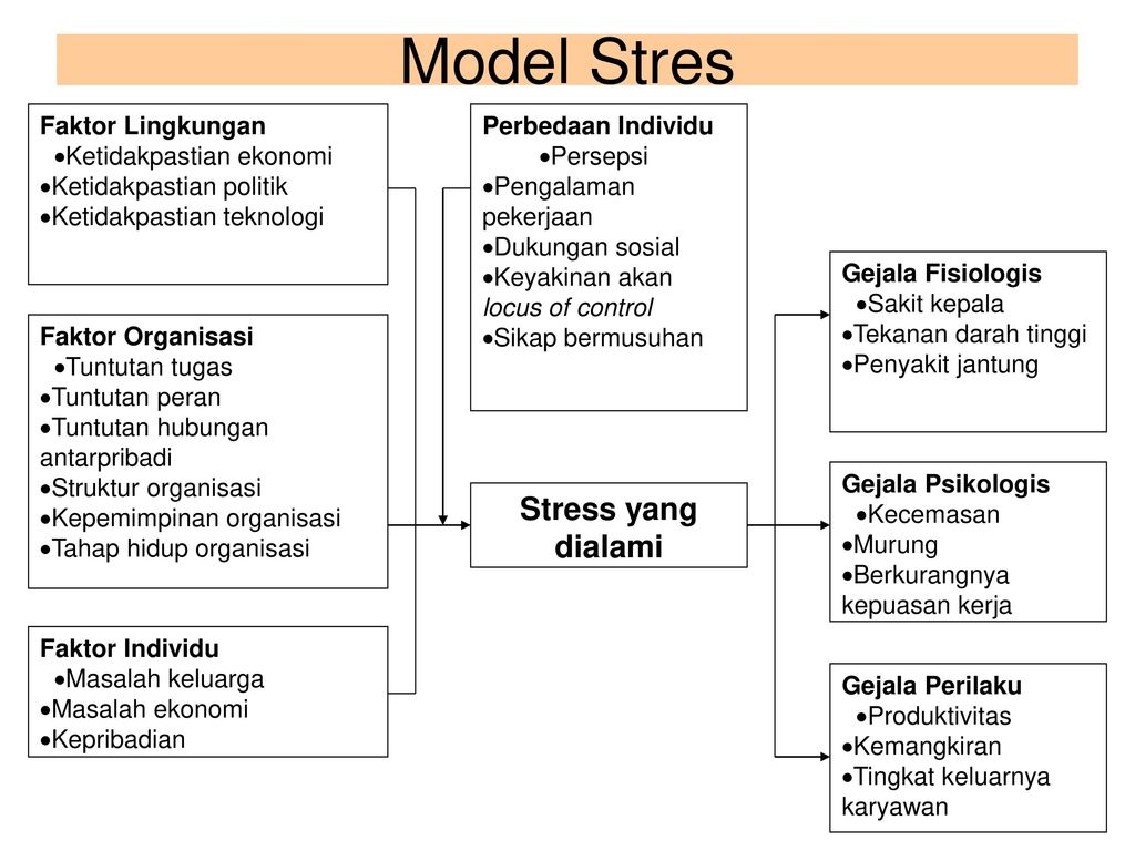 Model Stres Stress yang dialami Faktor Lingkungan