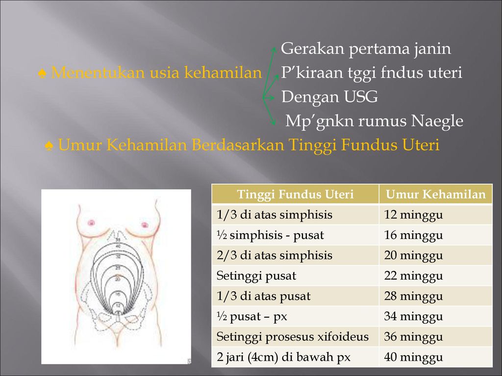 Konsepsi Ppt Download