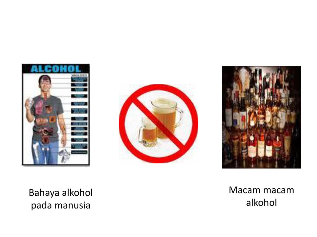 Bahaya alkohol pada manusia