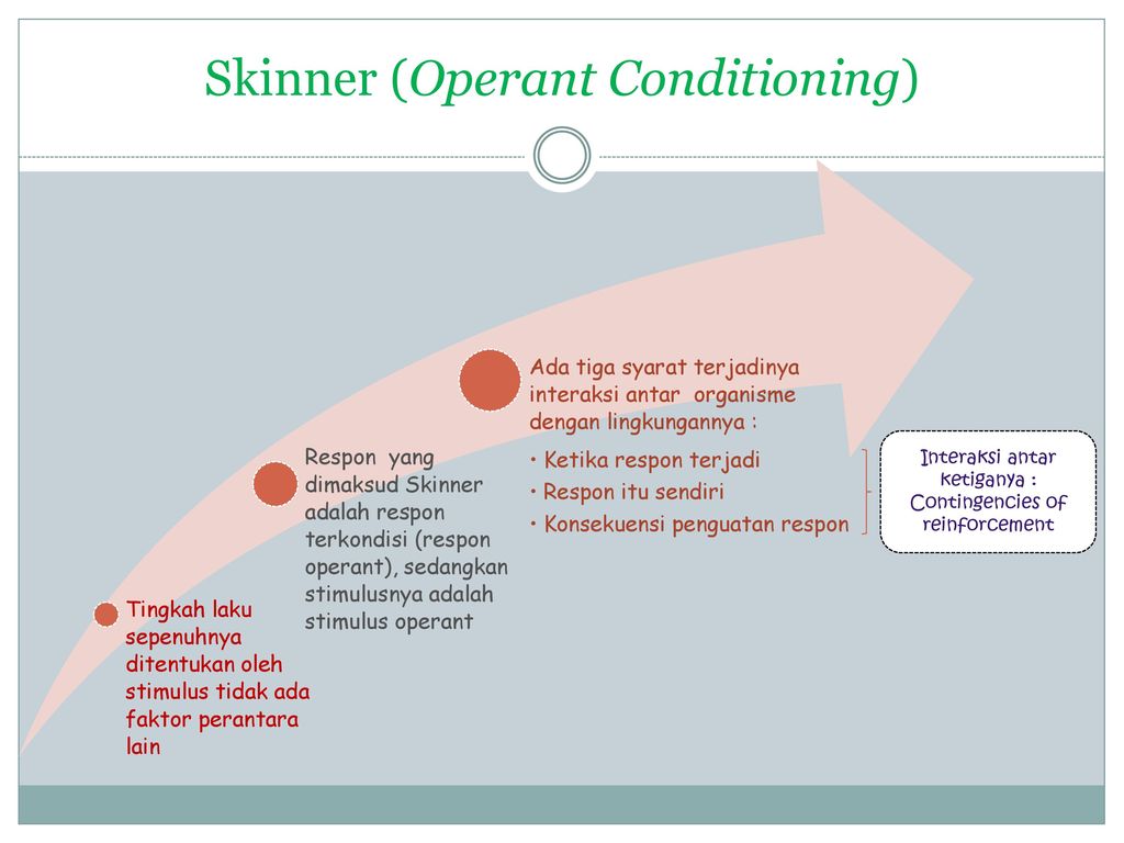 Skinner (Operant Conditioning)