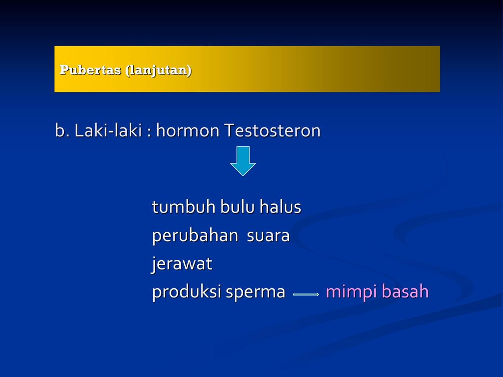 b. Laki-laki : hormon Testosteron