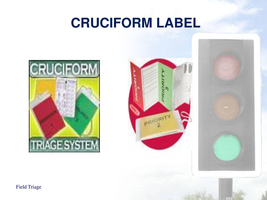 Field label. Полоски для Triage. Cruciform Plan. Cruciform.