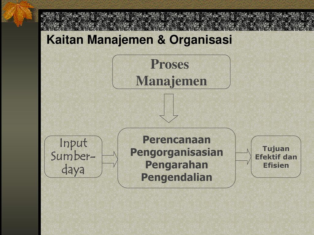 Kaitan Manajemen & Organisasi