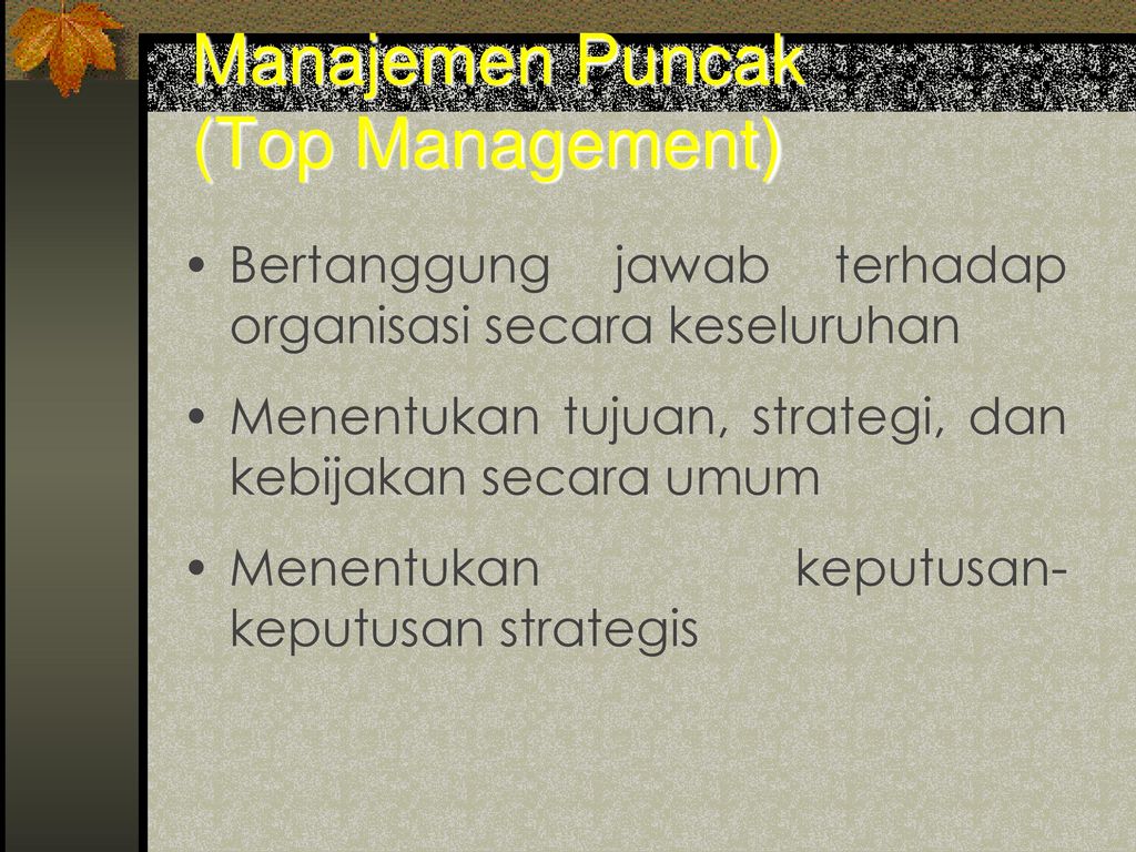 Manajemen Puncak (Top Management)