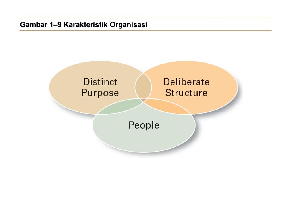 Gambar 1–9 Karakteristik Organisasi