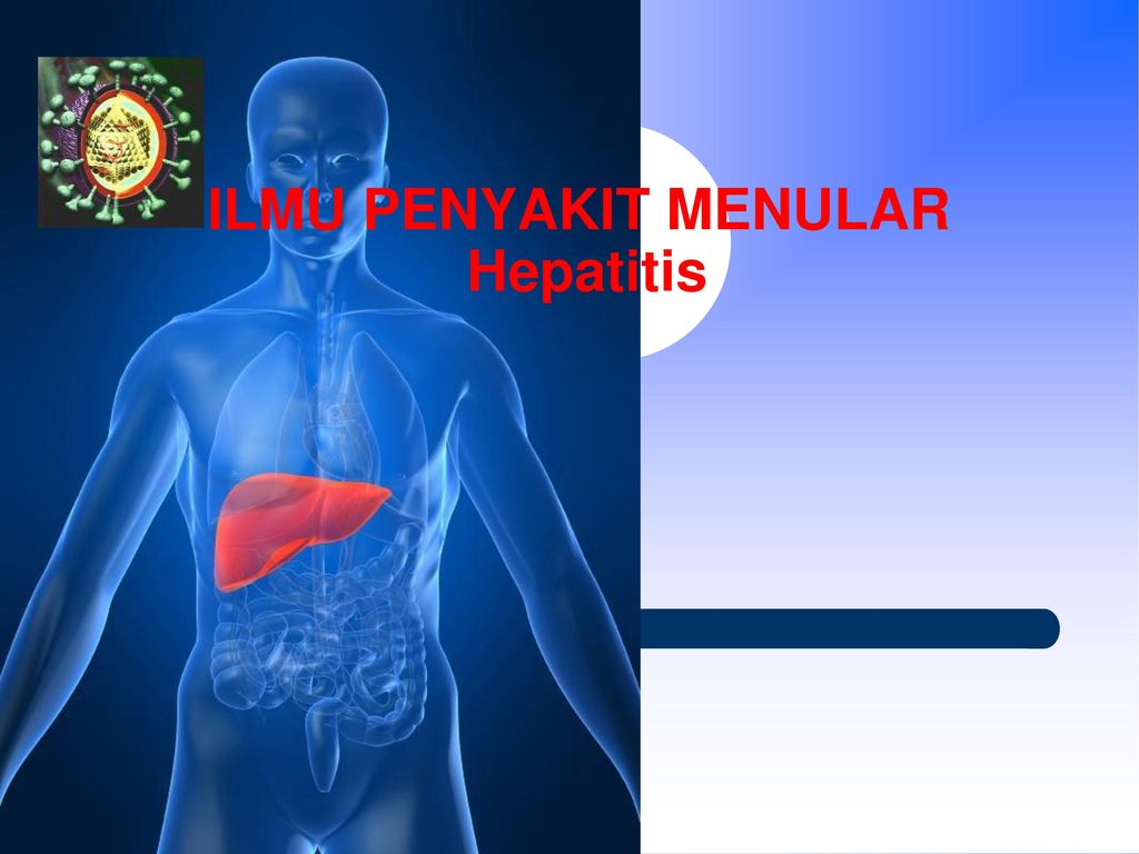 ILMU PENYAKIT MENULAR Hepatitis