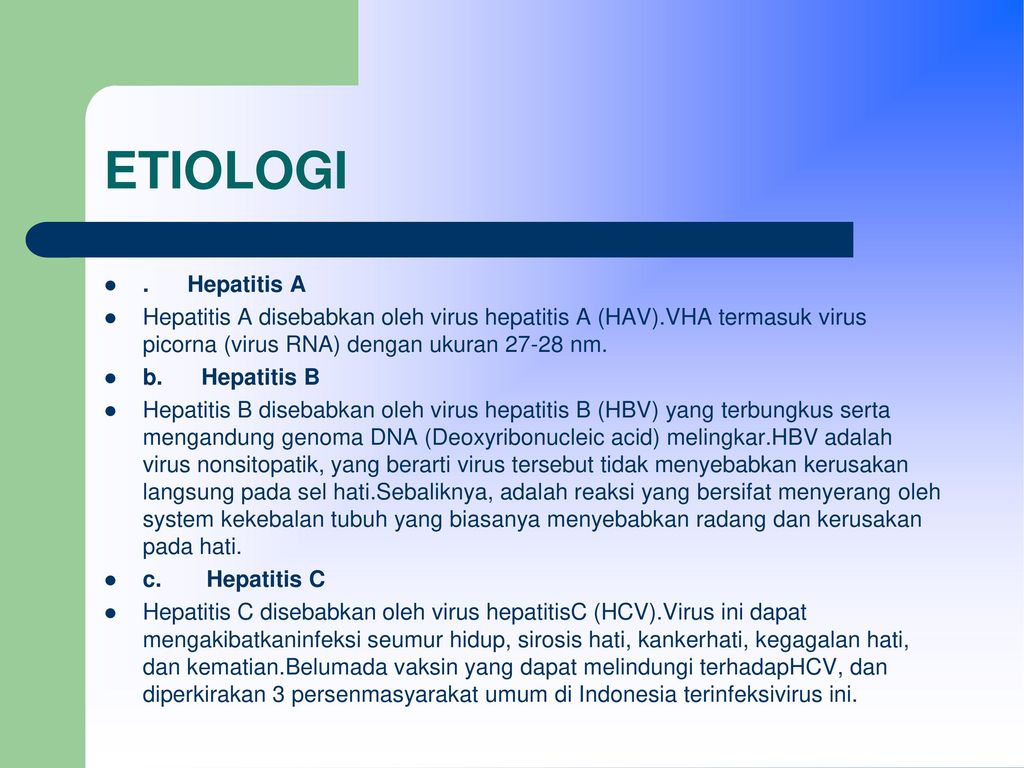 ETIOLOGI . Hepatitis A. Hepatitis A disebabkan oleh virus hepatitis A (HAV).VHA termasuk virus picorna (virus RNA) dengan ukuran nm.