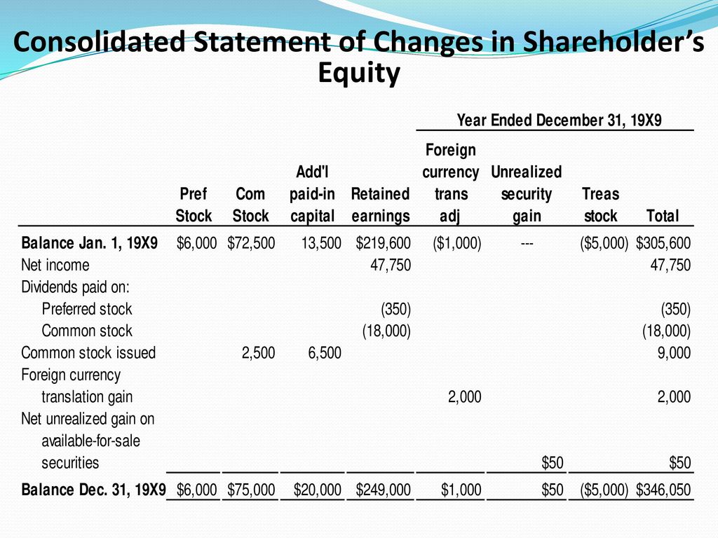 Consolidated Statement of Changes in Shareholder’s Equity
