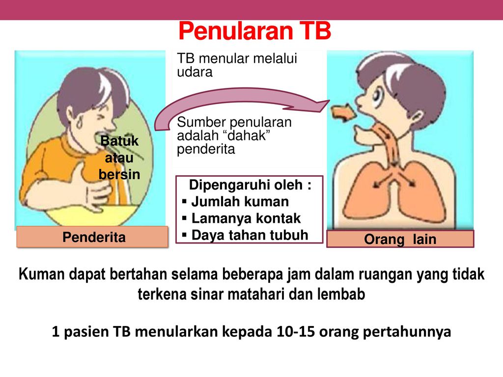 1 pasien TB menularkan kepada orang pertahunnya