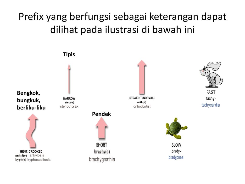 Pertemuan Ke 2 Prefix Ppt Download