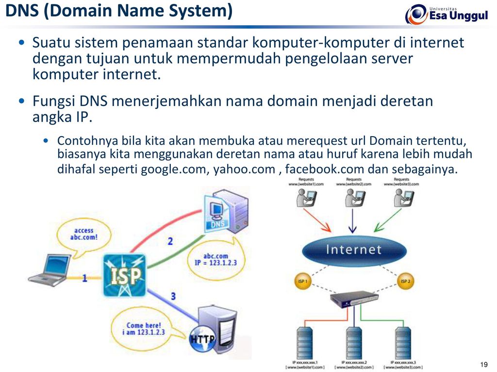 Dns адрес