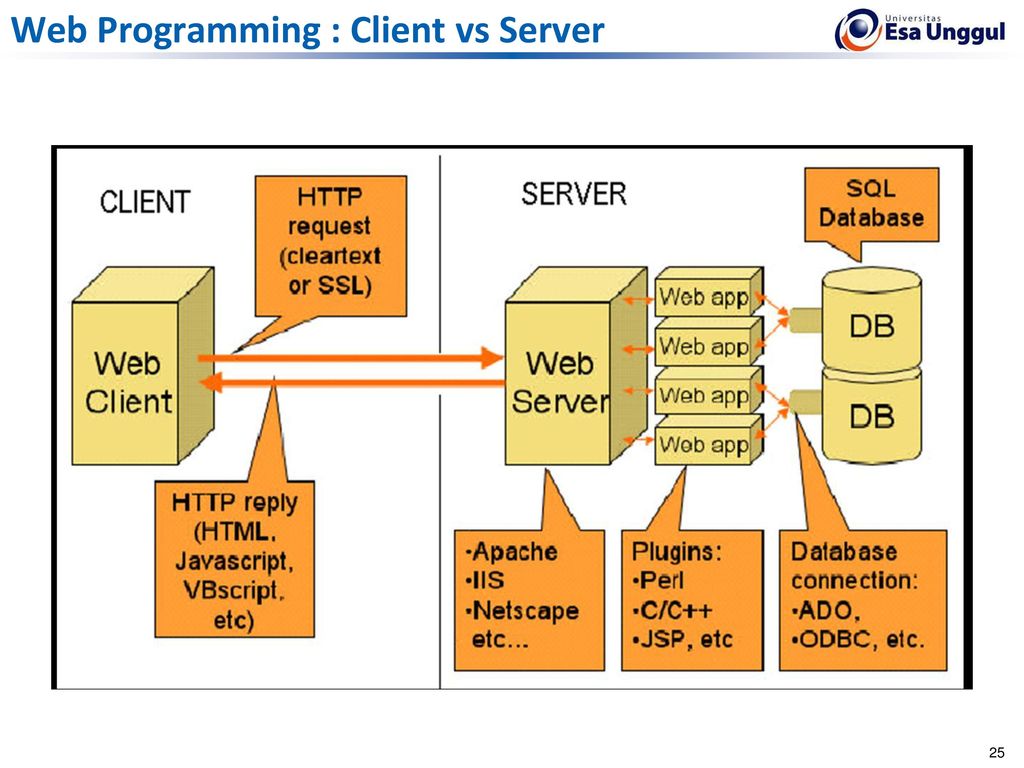 Web 5. Net patcliucenia Server v organizatie.