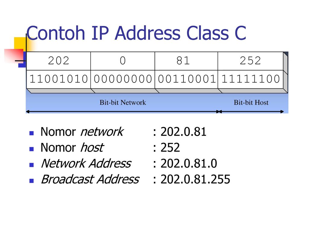 Bit network