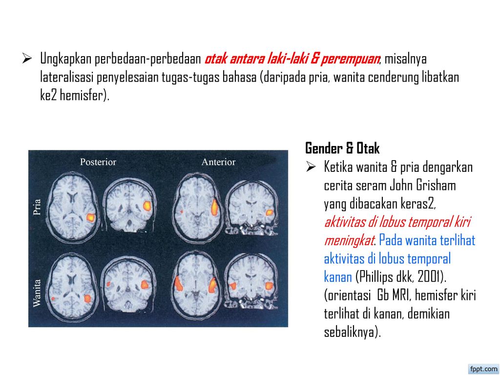 Ungkapkan perbedaan-perbedaan otak antara laki-laki & perempuan; misalnya lateralisasi penyelesaian tugas-tugas bahasa (daripada pria, wanita cenderung libatkan ke2 hemisfer).