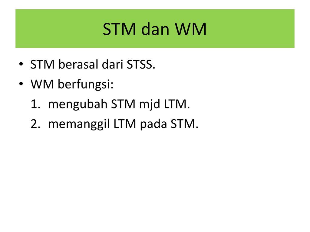 STM dan WM STM berasal dari STSS. WM berfungsi: mengubah STM mjd LTM.