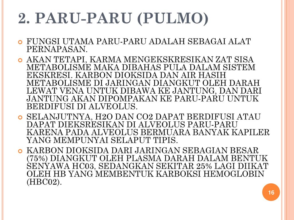 2. PARU-PARU (PULMO) FUNGSI UTAMA PARU-PARU ADALAH SEBAGAI ALAT PERNAPASAN.