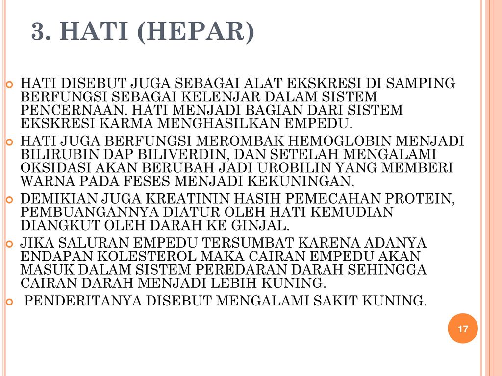 3. HATI (HEPAR)