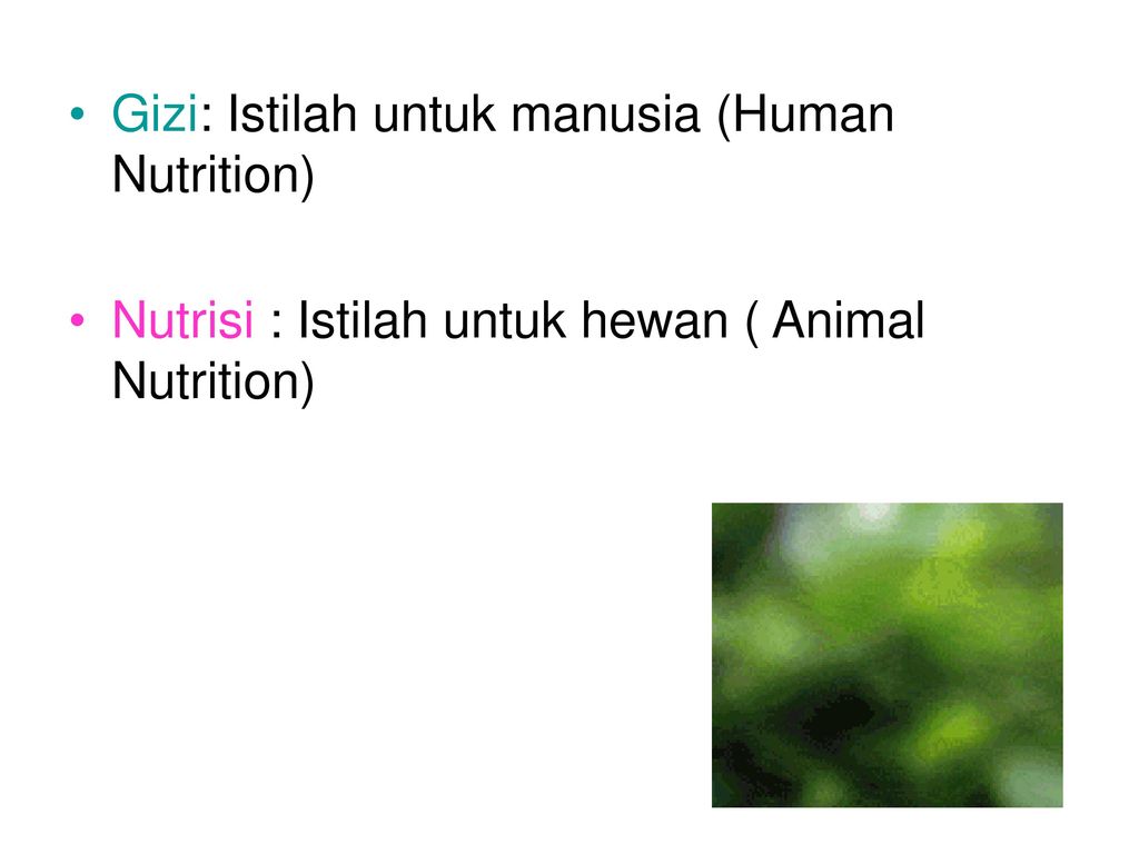 Gizi: Istilah untuk manusia (Human Nutrition)