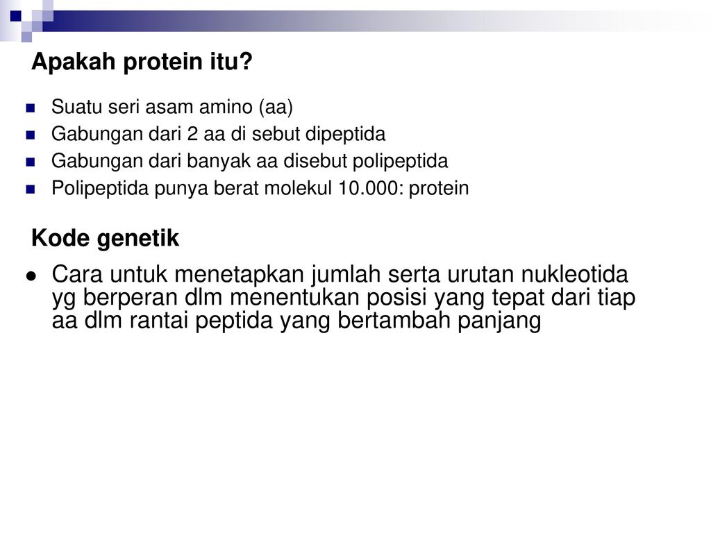 Biologi Molekular Ppt Download