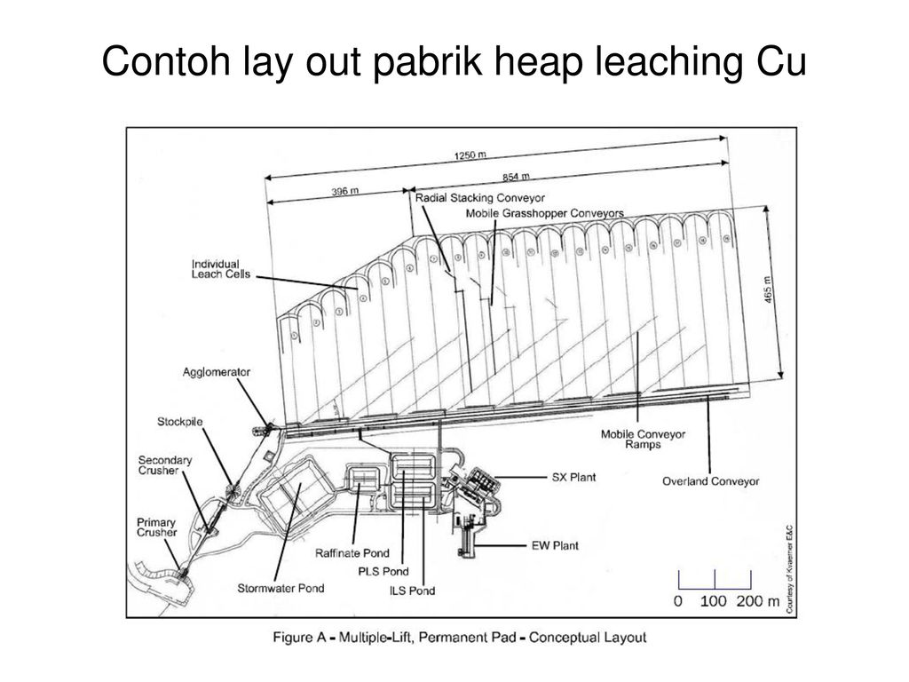 Lay out