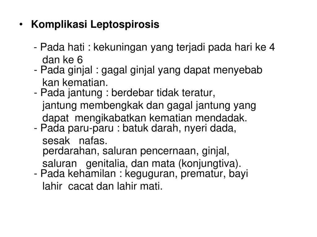 Komplikasi Leptospirosis