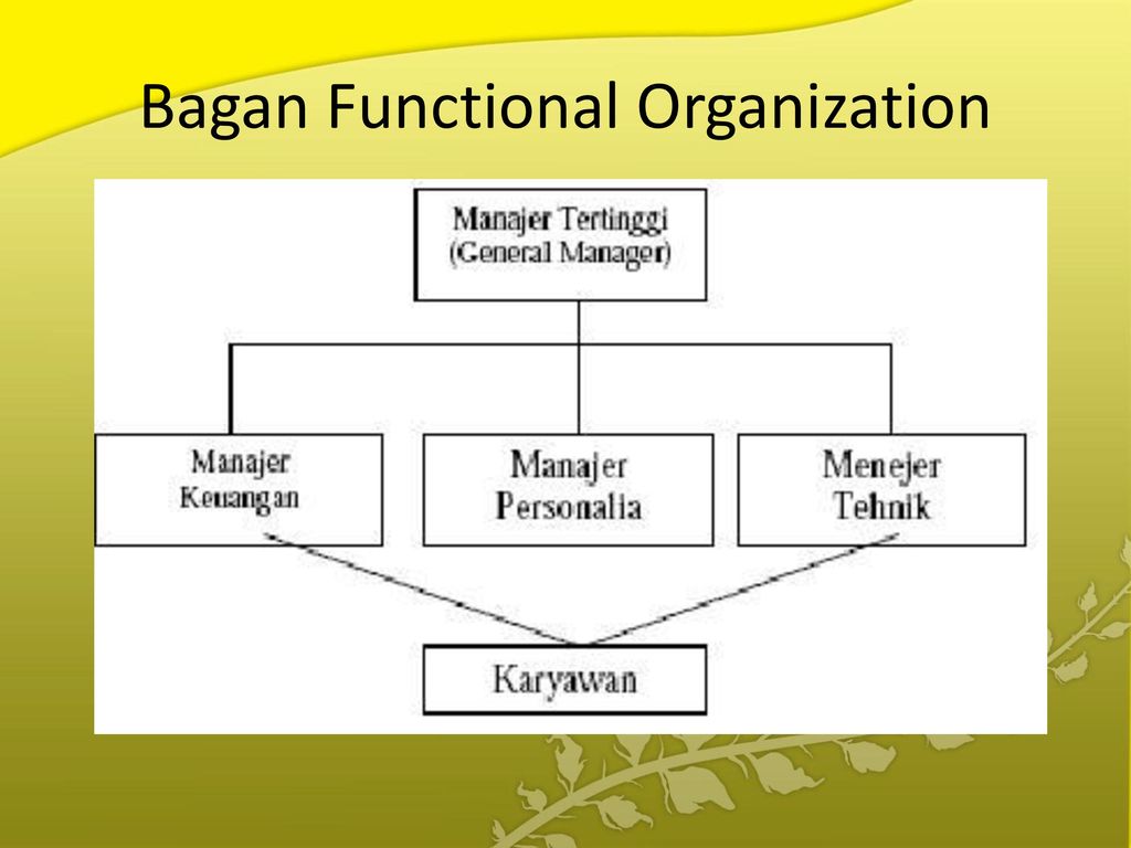 Bagan Functional Organization