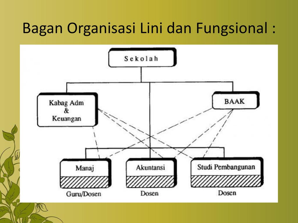 Bagan Organisasi Lini dan Fungsional :