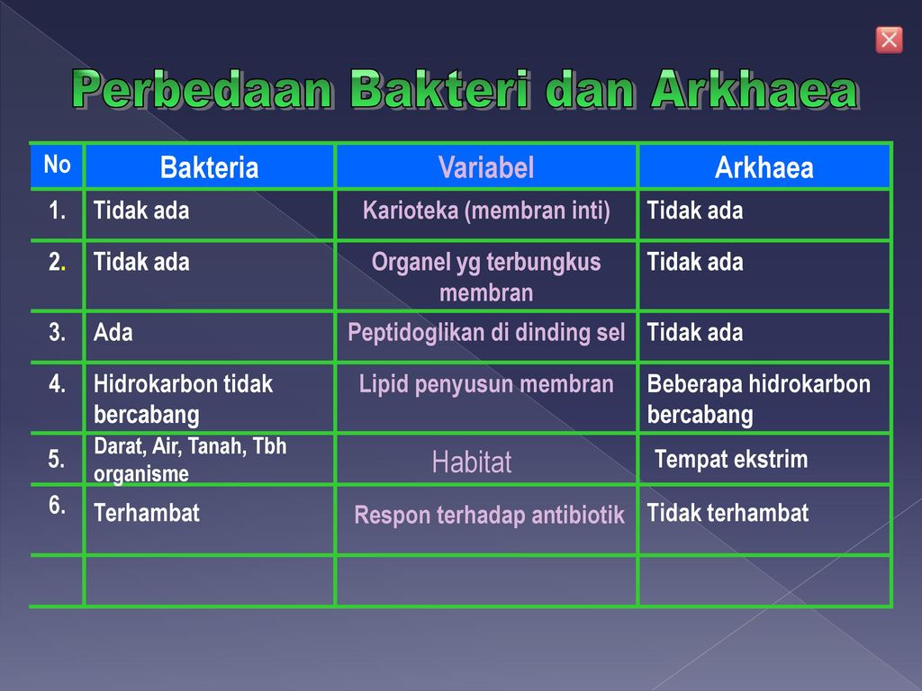 Bakteria Variabel Arkhaea
