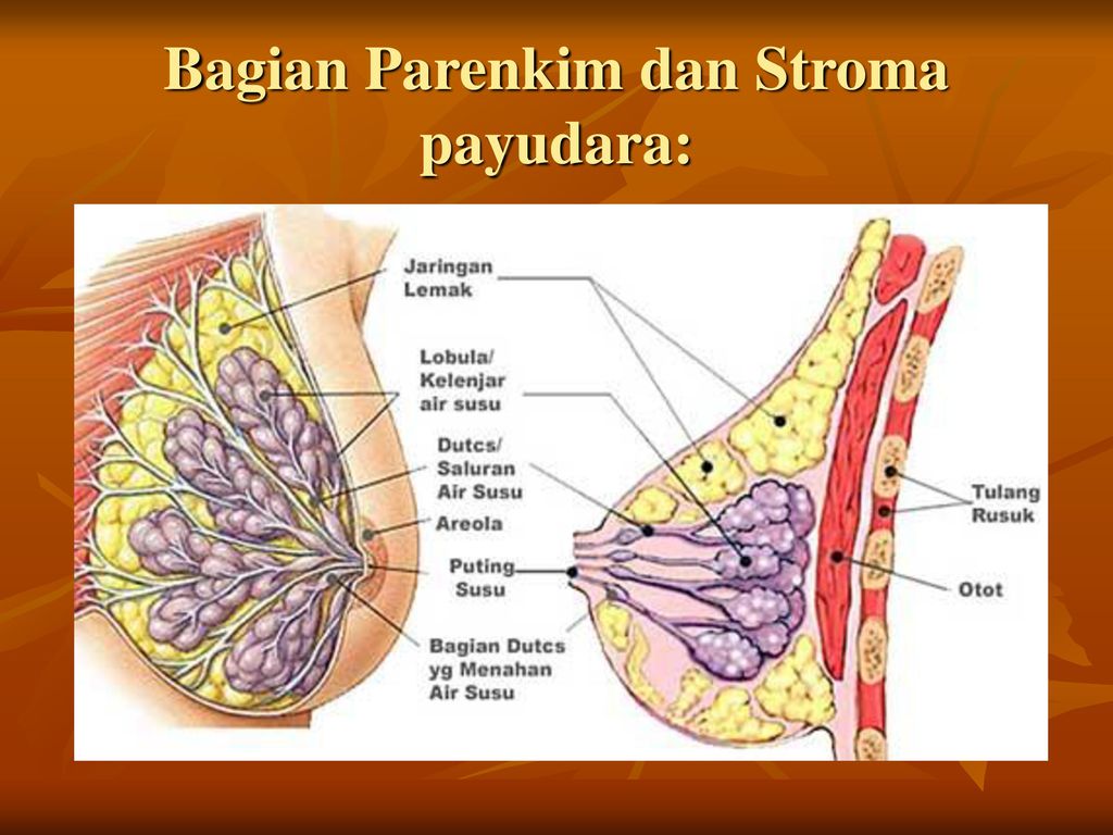Papilloma virus warzen, Ce medicamente pentru tratarea paraziților Papillom entfernen krankenkasse
