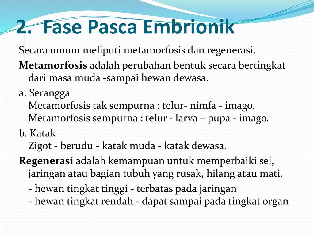 2. Fase Pasca Embrionik Secara umum meliputi metamorfosis dan regenerasi.