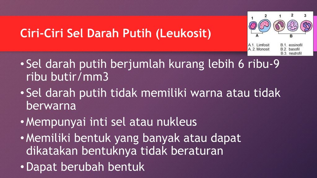 Leukosit Oleh : sukarniwati. - ppt download