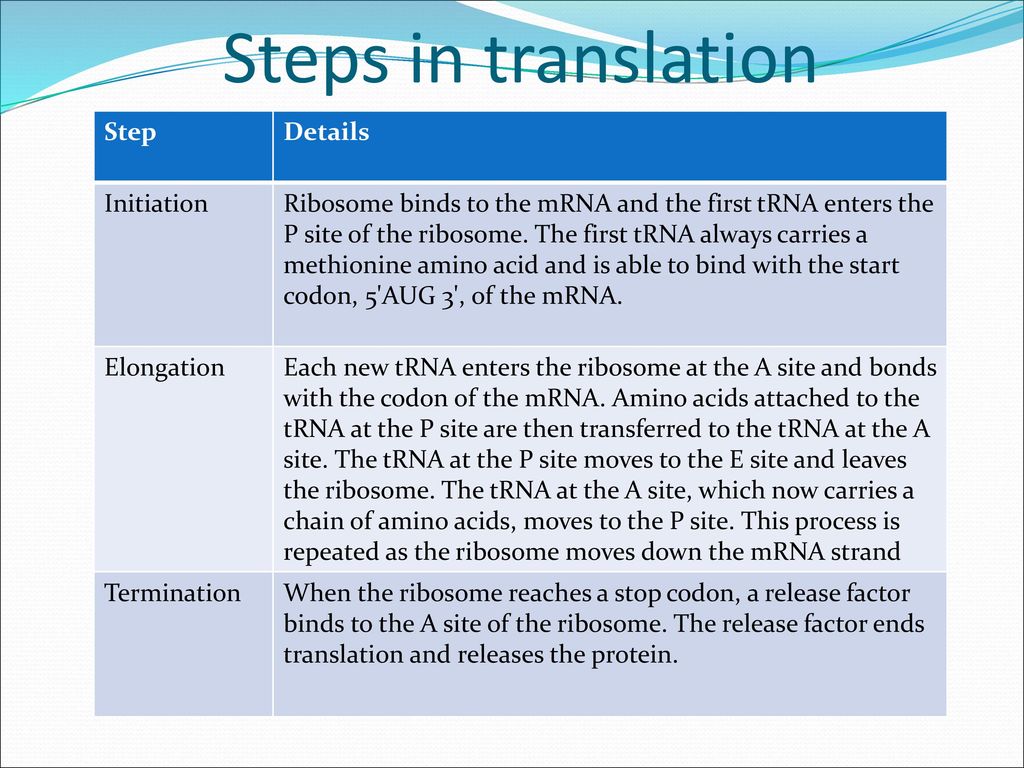 Step 1 перевод. Steps перевод. Steps of translation initiation. Doorstep перевод. Two steps перевод, как читать.