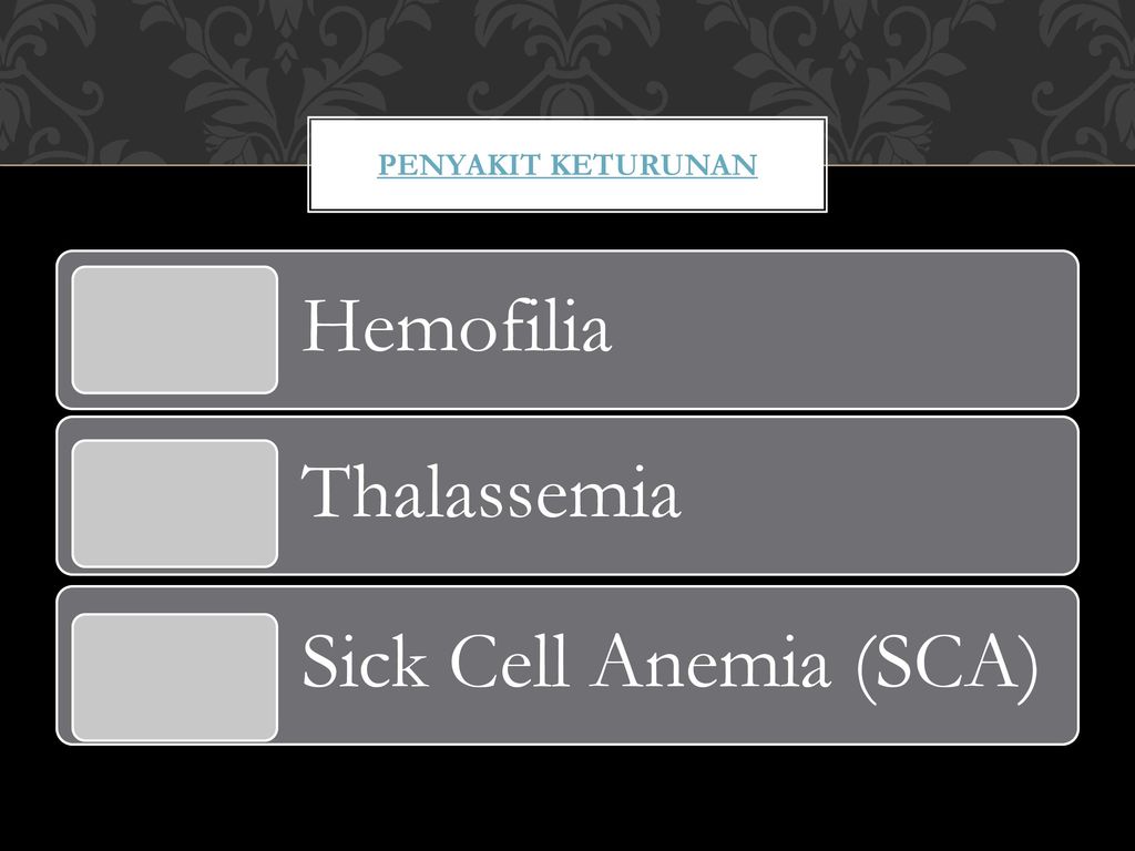 Penyakit keturunan Hemofilia Thalassemia Sick Cell Anemia (SCA)