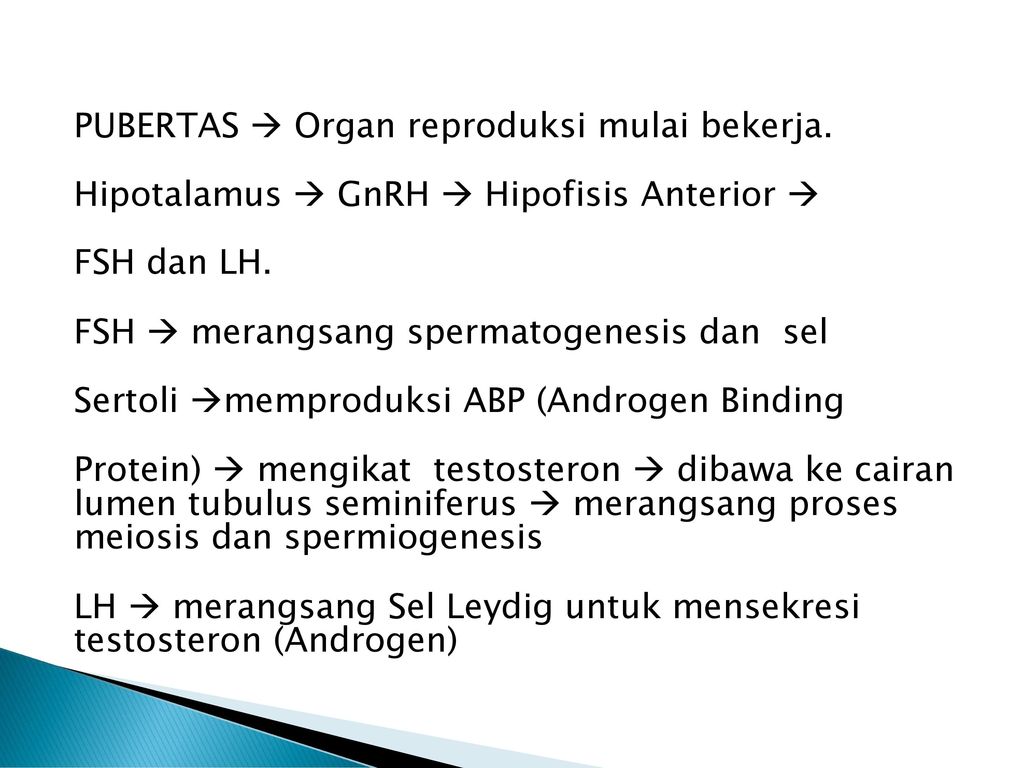 Paling Inspiratif Kata Apespsi Dan Motivasi Sistem Reproduksi