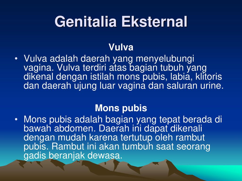 Genitalia Eksternal Vulva