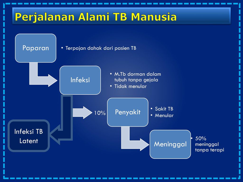 Perjalanan Alami TB Manusia