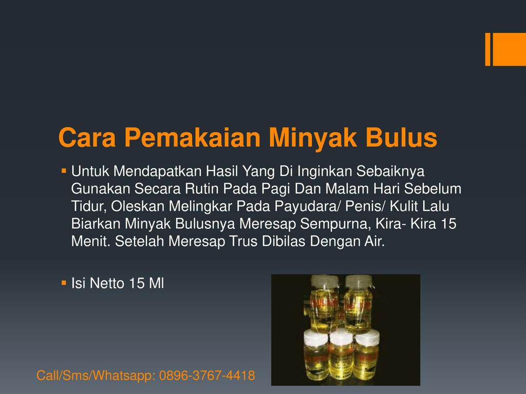 Minyak Bulus Call Sms Whatsapp Ppt Download