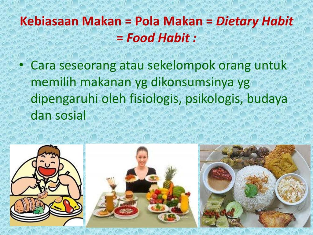 Kebiasaan Makan = Pola Makan = Dietary Habit = Food Habit :