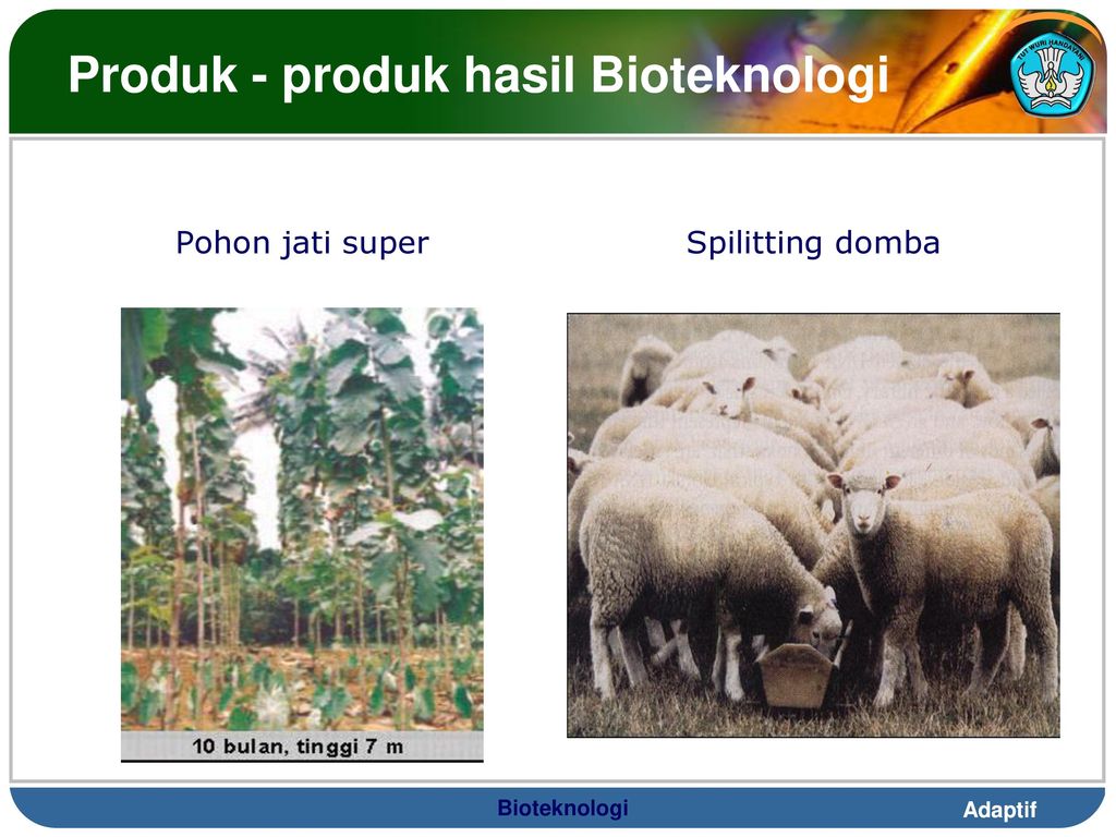 Produk - produk hasil Bioteknologi