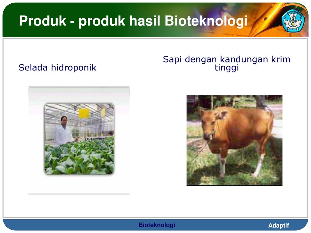 Produk - produk hasil Bioteknologi