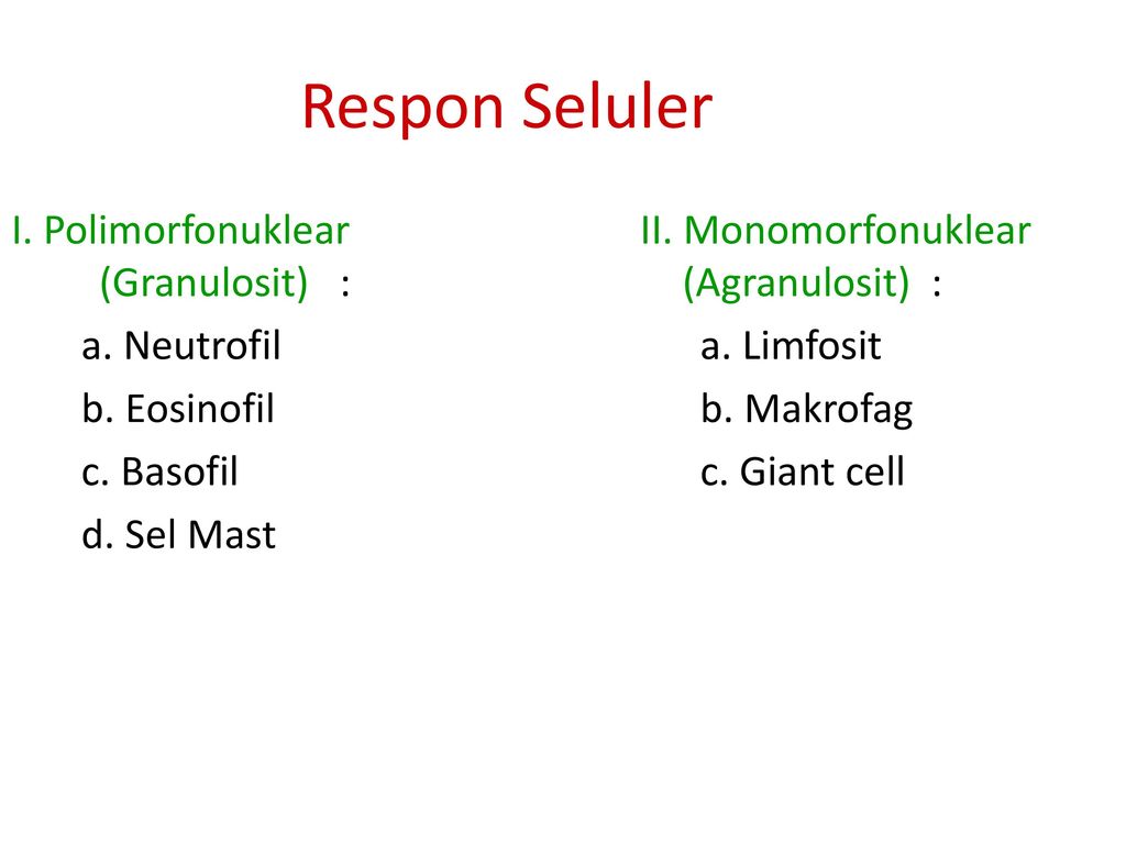 Respon Seluler I. Polimorfonuklear (Granulosit) : a. Neutrofil