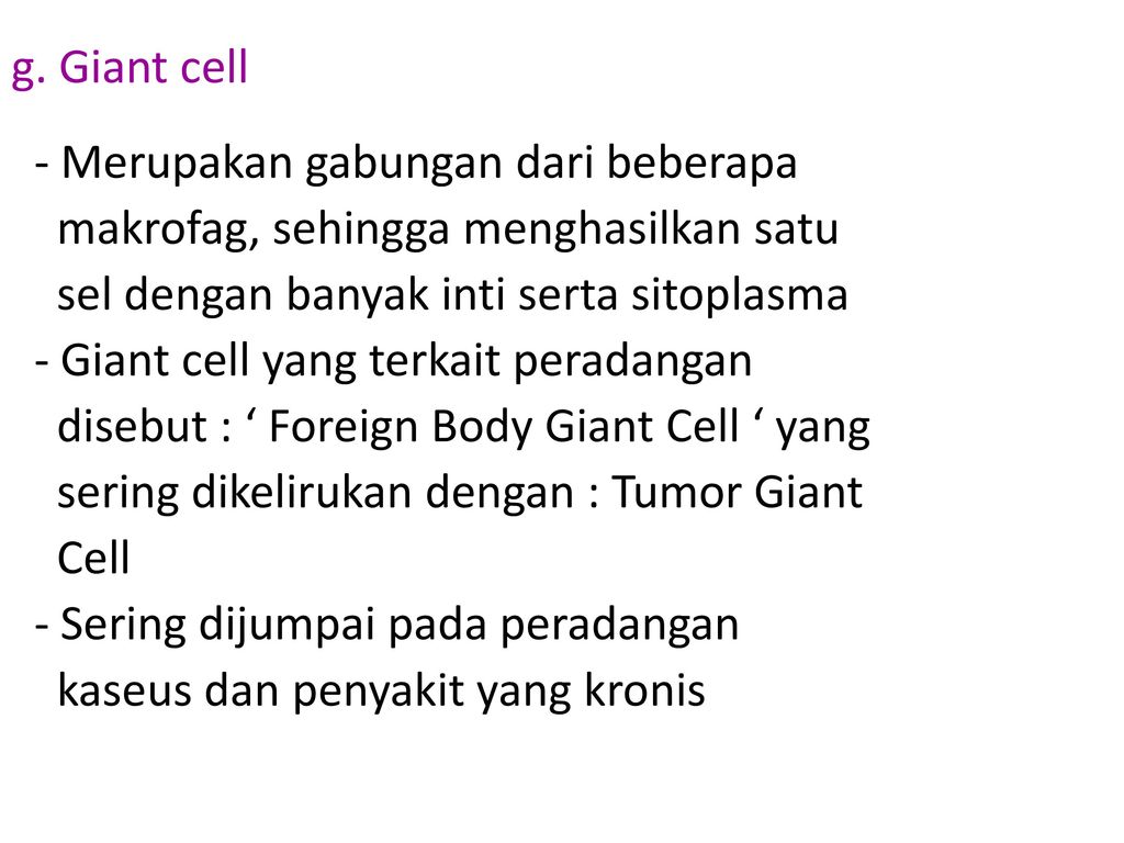 g. Giant cell - Merupakan gabungan dari beberapa. makrofag, sehingga menghasilkan satu. sel dengan banyak inti serta sitoplasma.