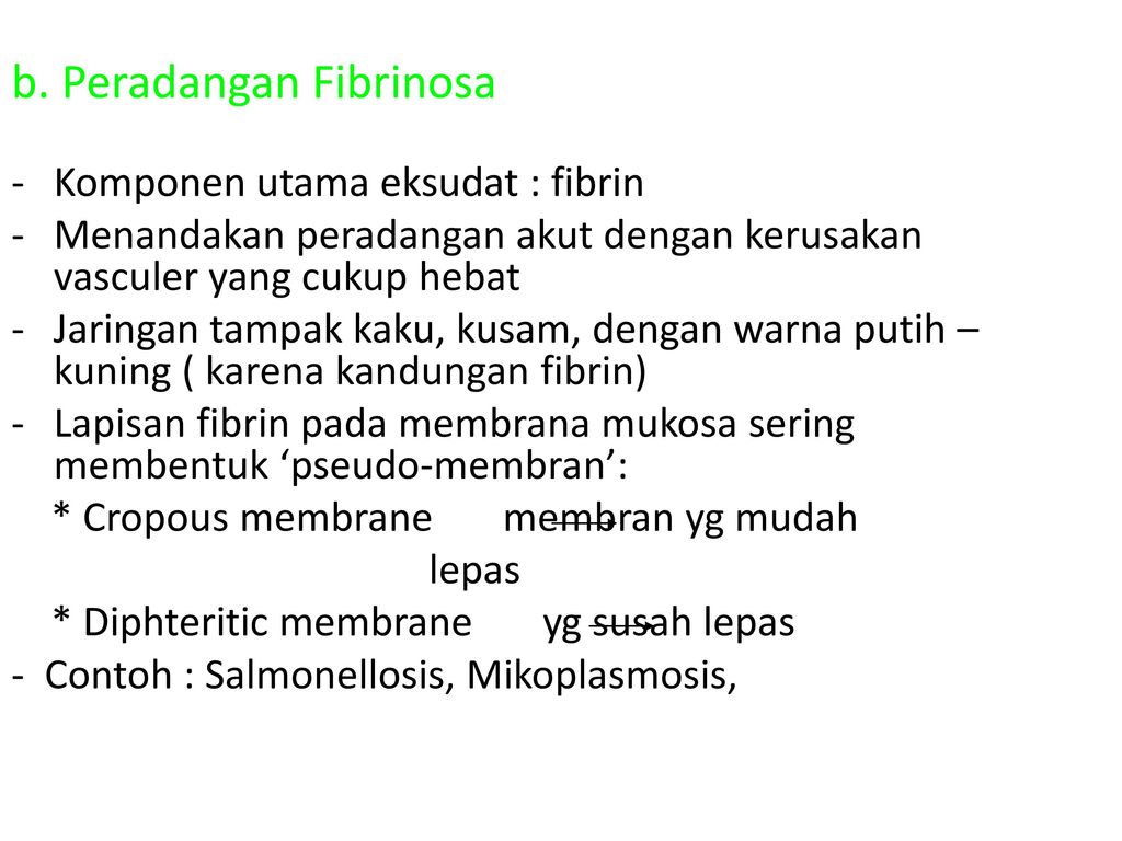 b. Peradangan Fibrinosa
