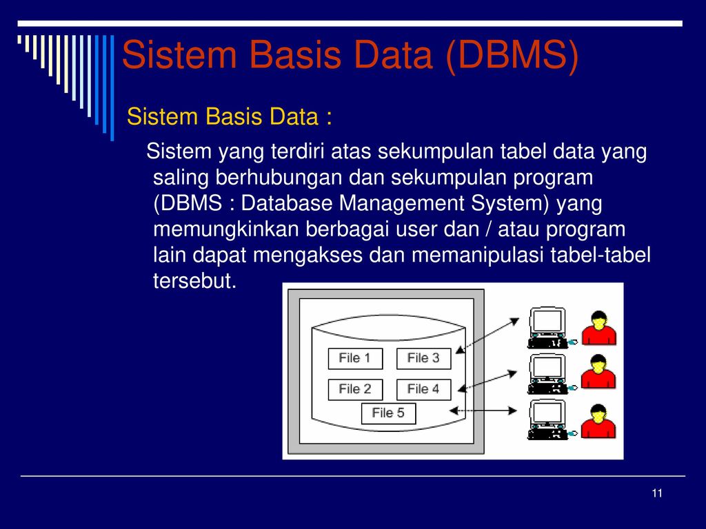 Yang system