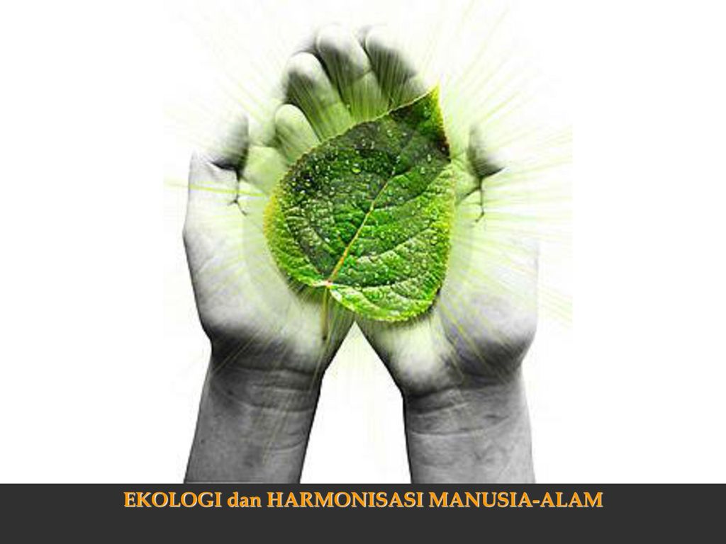 Ekologi Dan Harmonisasi Manusia Alam Ppt Download